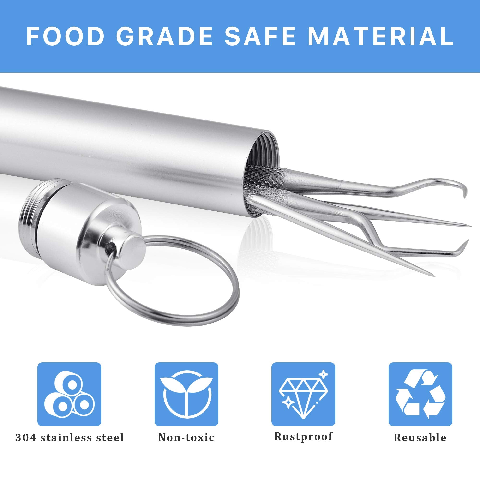 Worldity 5Pcs Reusable Toothpick, Portable Metal Toothpick, Professional Teeth Cleaning Tools, Dental Picks With Toothpick Holde